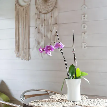 Dobrego Wypoczynku 펜션 *