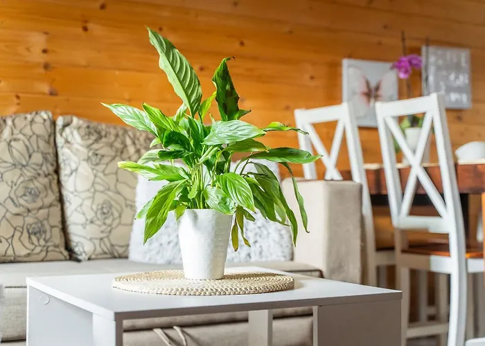 Dobrego Wypoczynku * Kołczewo