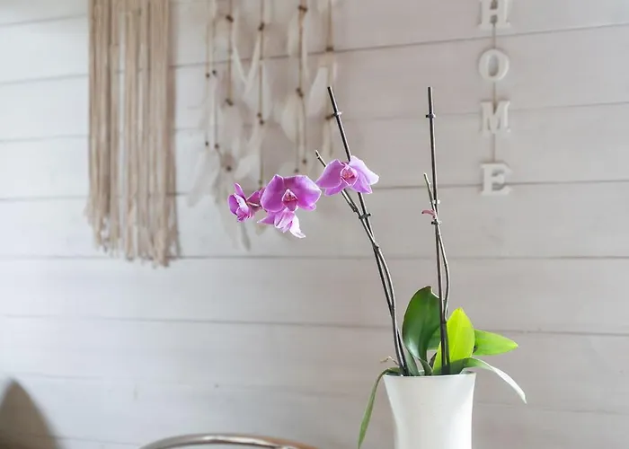 Dobrego Wypoczynku Ferienhaus *