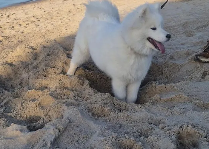 Dobrego Wypoczynku Kołczewo